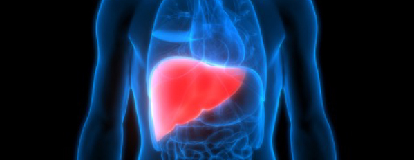 Liver Transplant